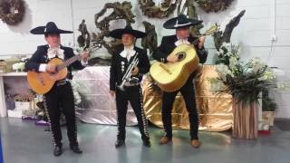 Mexican Mariachi Band For Hire  Mariachi Kings  Guantanamera [upl. by Eesac]