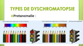 BIOPHYSIQUE Les Dyschromatopsies [upl. by Clemmie]