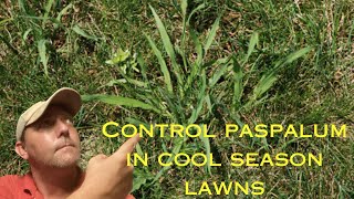 Identify and control paspalum [upl. by Richella668]