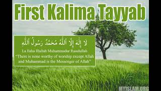 Learn The First Kalima Tayyab EASY  My Islam [upl. by Adama]