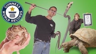 Largest Reptile Zoo  Guinness World Records [upl. by Partan103]