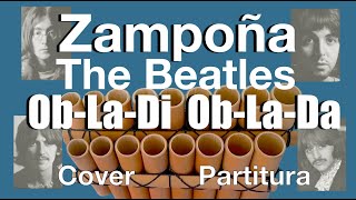 ObLaDi ObLaDa  Beatles  zampoña cover 2023 [upl. by Immak570]