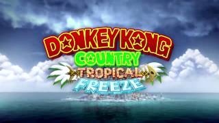 Level 44 Irate Eight Land  Donkey Kong Country Tropical Freeze  Music [upl. by Schaffel184]