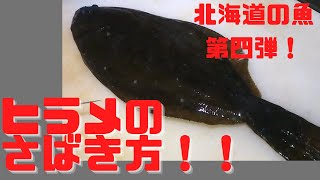 【北海道の魚屋】ヒラメのさばき方を詳しく。刺身用。 [upl. by Yrrab158]