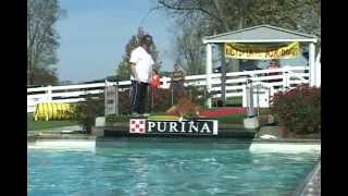 UKC Dock Jumping  United Kennel Club [upl. by Ehctav]