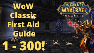 Classic Wow First Aid Guide 1  300  Alliance  Roly The Holy Paladin  First Aid Classic Wow [upl. by Fulbert]