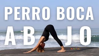 Tutorial perro boca abajo o adho mukha svanasana paso a paso  Lucía Liencres yoga [upl. by Rennold522]