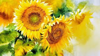 해바라기  Sunflower 수채화  Watercolor [upl. by Auberbach]