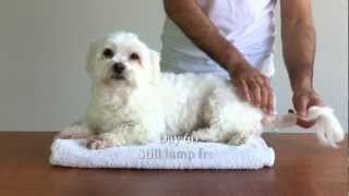 Dog vs Lump HD how to destroy cysts amp tumours [upl. by Perseus678]