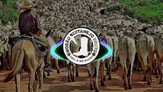 Tião Carreiro amp Pardinho  Terra Roxa 《Modão Sertanejo Bruto》 [upl. by Carolann]