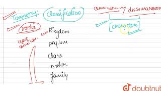 Taxonomic categoriestaxonomic groups are distinct biological entities [upl. by Jasmina]