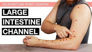 Acupuncture Point Location The Large Intestine Channel Large Intestine Meridian [upl. by Llenyar]