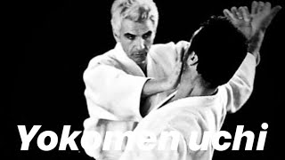 Aikido  Yokomen uchi by Bruno Gonzalez Belgium 2018 [upl. by Cindy]