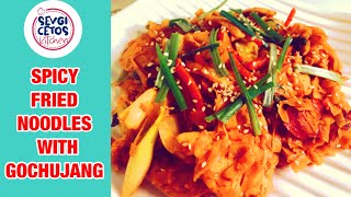 SPICY FRIED NOODLES WITH GOCHUJANG KOREAN HOT PEPPER PASTE  FRIED NOODLES  GOCHUJANG [upl. by Livesay]