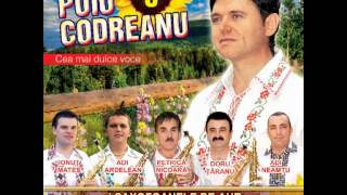 Puiu Codreanu  Mai nevastă mai muiere  album 2012 [upl. by Megen]