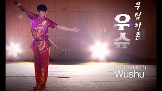 10 Wushu Best of Martial Arts [upl. by Einhpets]