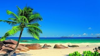 Tropical Music Instrumental  Caribbean Sea [upl. by Leibrag623]