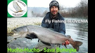 HUCHOHucho Fly Fishing Sava Bohinjka [upl. by Kopple464]