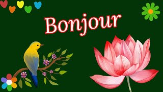 BONJOUR  Bonne Journée  🍀🌺🦜 [upl. by Aisenet659]