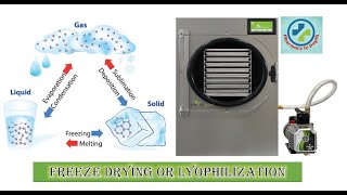 Freeze drying or Lyophilization in depth [upl. by Alvin]