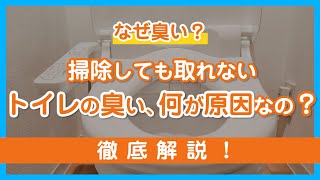 【なぜ臭い？】掃除しても取れないトイレの臭い、何が原因なの？徹底解説！  くらしのマーケット [upl. by Ainiger]