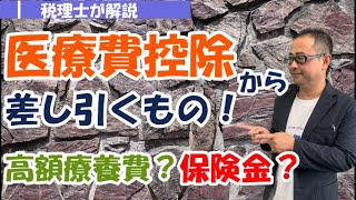 【記入例付】医療費控除から差し引く「補てんされる金額」とは？ 高額療養費や保険金は？具体例で解説！ [upl. by Lotti]