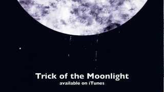 Gareth Dunlop  Trick of the Moonlight lyrics [upl. by Atinomar]