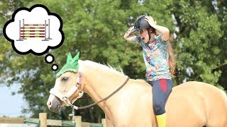 HELP  Tivoli choisit luimême sa séance  😂🐴🏅 I Georgette ou Taxi [upl. by Ennovad]