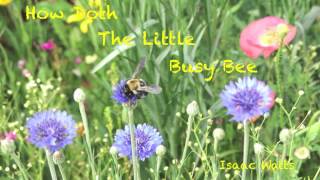 How Doth The Little Busy Bee a poem by Isaac Watts [upl. by Jobi]