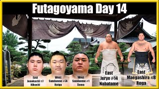 Grand Sumo Day 14 Futagoyama Beya Nov2024 Kikuchi Keiga Soma [upl. by Archibald]