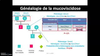 Mucoviscidose et médecine prédictive  étude dun arbre généalogique et calcul du risque génétique [upl. by Laven]