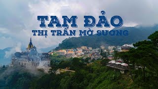 Tam Đảo  Thị Trấn Sương Mù  Cảnh Đẹp VIỆT NAM  Flycam 4K [upl. by Haidej643]