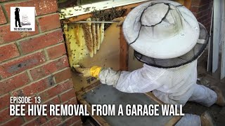 Bee Hive Removal from a Garage Wall  The Bush Bee Man [upl. by Accalia]