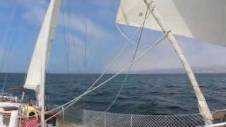 Baja SingleHanded Sailing [upl. by Ries]