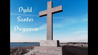 Dydd Santes Dwynwen 2024 [upl. by Austreng]