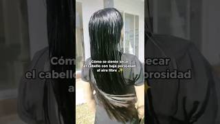 Cabello con baja Porosidad 🫶🏻🤍🫶🏻 haircare [upl. by Findlay]