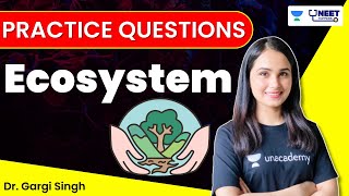 Question Practice Session  Ecosystem  NEET 2023  Dr Gargi Singh [upl. by Ethbun643]