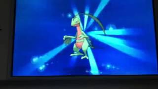 Treecko Evolves  Pokemon X and Y [upl. by Kaja]