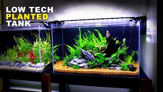 Aquascape Tutorial Beginner Java Fern  Anubias Aquarium How To Step By Step Planted Tank Guide [upl. by Horace]