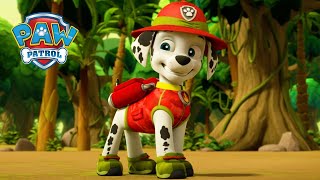 野生动物园探险家  PAW Patrol 汪汪隊立大功  兒童卡通 [upl. by Mcclenon647]