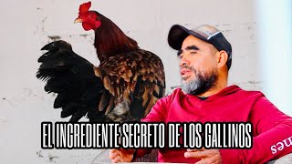 El Ingrediente secreto de los GaIIinos [upl. by Joost838]