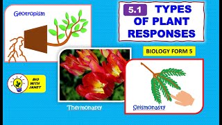 Form 5 Biology KSSM 51 TYPES OF PLANT RESPONSES [upl. by Mlehliw]