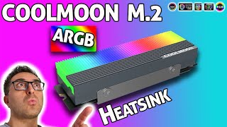 Coolmoon ARGB M2 SSD heatsink  CMM73S review ARGB SSD [upl. by Nadroj]