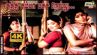 சுத்த சம்பா பச்ச நெல்லு குத்தத்தா வேணும் Sivakumar  Sujatha  Ilaiyaraaja  Raj 4K Songs [upl. by Hpejsoj364]