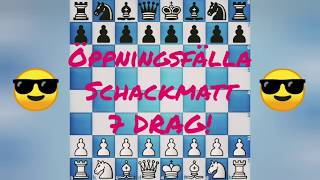 Bästa Schack Fällan  Vinn smart och enkelt  Schackmatt på 7 Drag [upl. by Doralin]