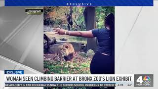 Caught on Camera Woman With Cash and Roses Jumps Barrier at Bronx Zoo Lion Exhibit  NBC New York [upl. by Waldack]