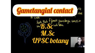 What is Gametangial Contact  Types of gametic fusion in fungi  Biology By Neha🌻 [upl. by At]