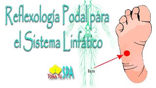 REFLEXOLOGÍA PODAL PARA EL SISTEMA LINFÁTICO [upl. by Adnawak]