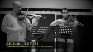 Invention No 4 BWV 775 in D minor J S BACH Violin and Viola [upl. by Torin]