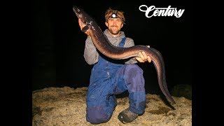 Black Tide Conger Eel Fishing  Jurassic Coast Dorset  Rob Stammas [upl. by Zolly]